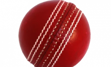 Teaching cricket in schools
