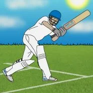 Increase cricket participation in your school